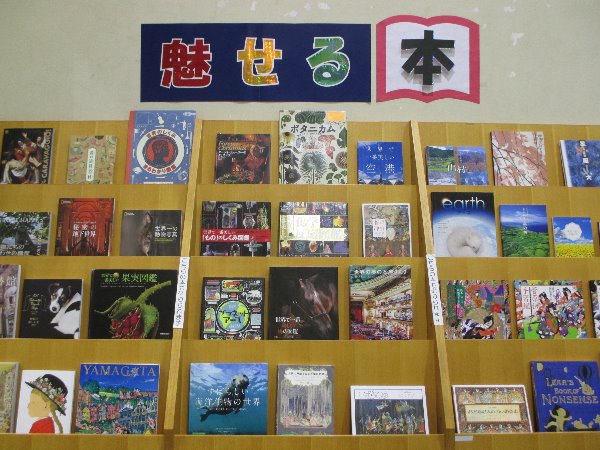 湘南大庭市民図書館　展示「魅せる本」