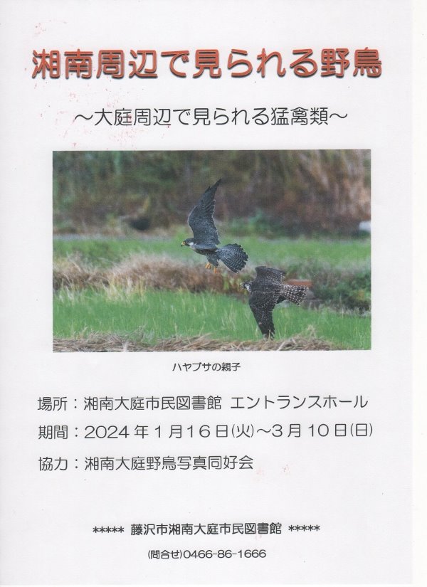 湘南大庭市民図書館　展示「湘南周辺で見られる野鳥」