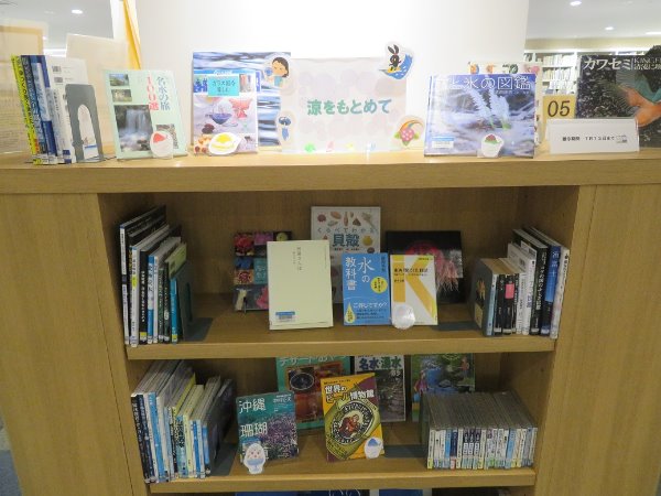 南市民図書館展示「涼をもとめて」