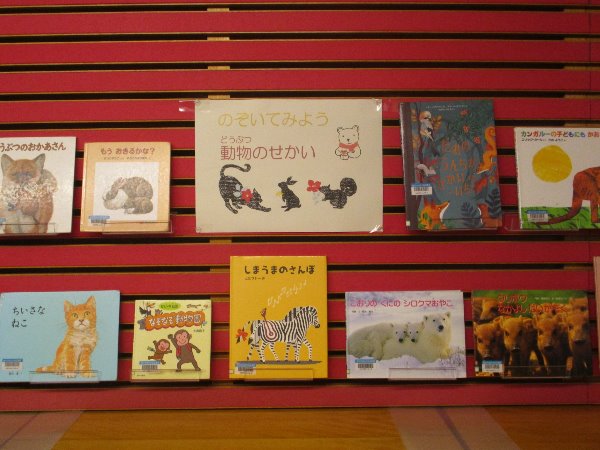 総合市民図書館　児童展示「のぞいてみよう　動物のせかい」