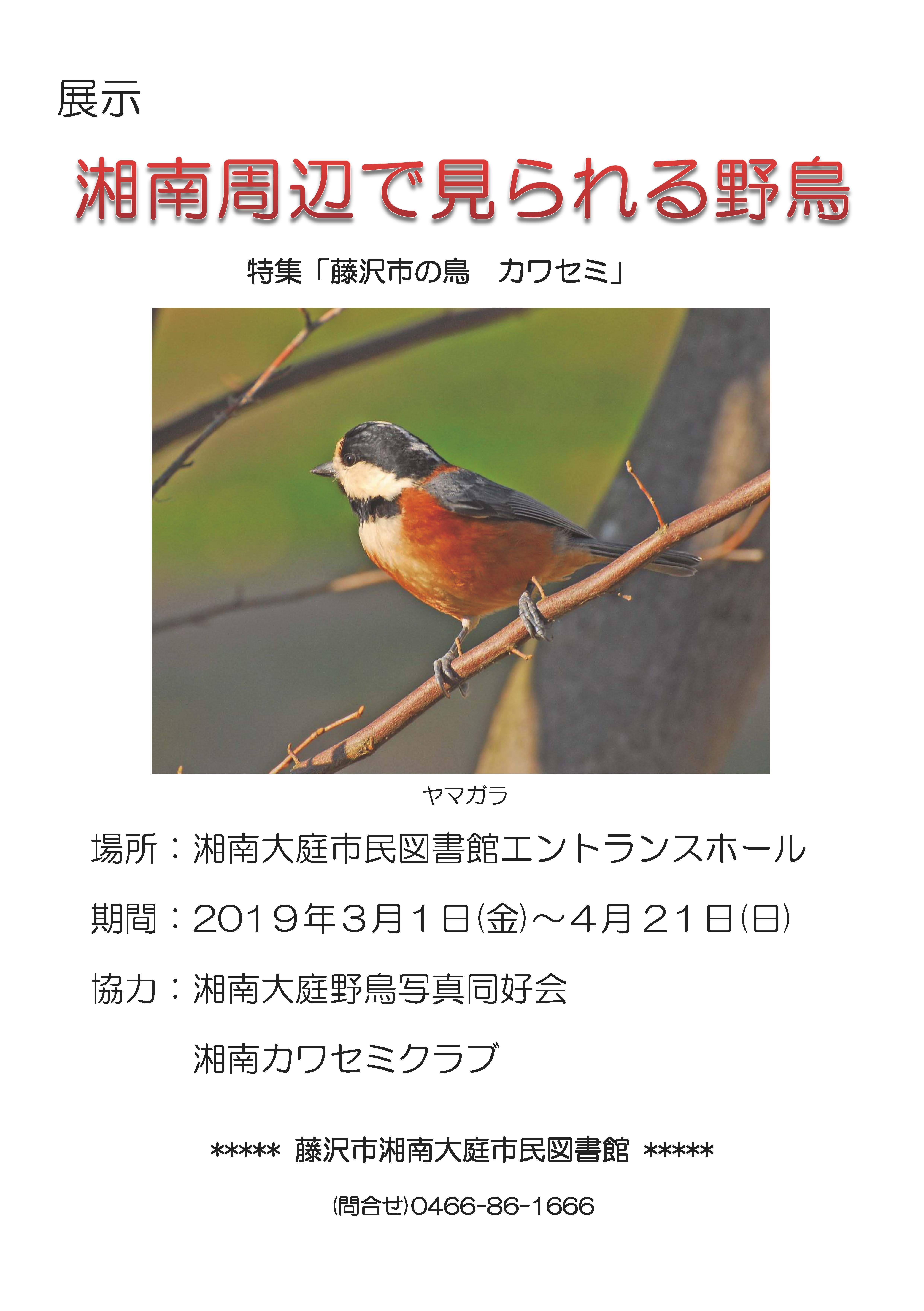 野鳥写真展示の案内ポスター画像