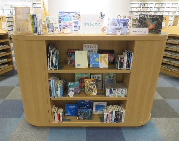 「涼をもとめて」展示風景