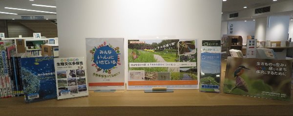 みどり保全課とのコラボ展示みんないっしょに生きているの展示風景