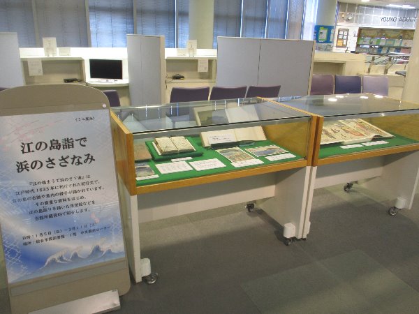 hamanosazanamitenjihuukei