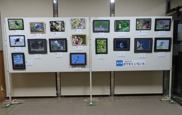 湘南大庭市民図書館　写真展「湘南周辺で見られる野鳥　～特集：春夏秋冬の鳥たち～」