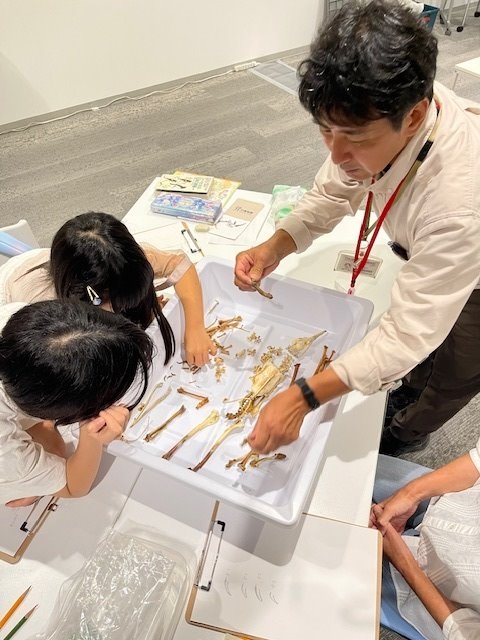 南館「標本を使って楽しく学ぶ“鳥のふしぎ”」イベント写真